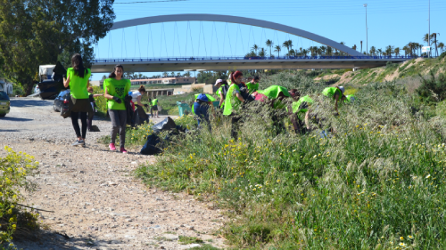 Naturaleza (3) (2)