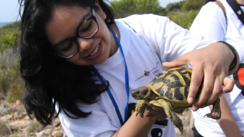 Naturaleza (5)-