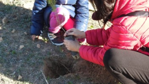 Naturaleza (9)